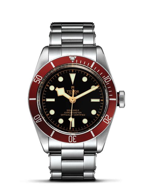 tudor 79230r 0003|tudor black bay blue bezel.